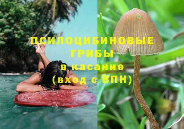 дурь Зерноград