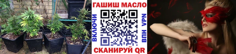 Купить где  Курчатов  ТГК концентрат 