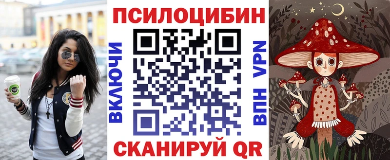 Купить где  Курчатов  Псилоцибиновые грибы ЛСД 
