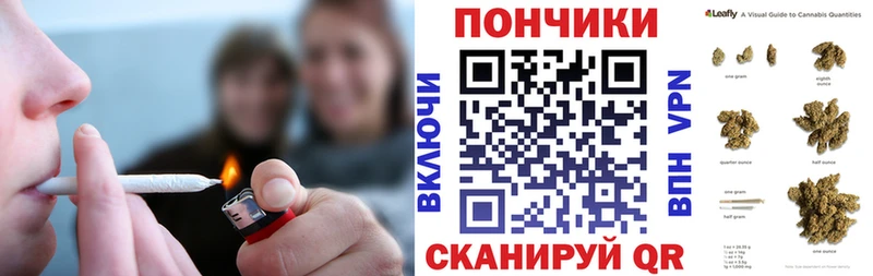Шишки марихуана марихуана  Купить закладки  Курчатов 